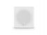 Coda Audio D5-CUBE